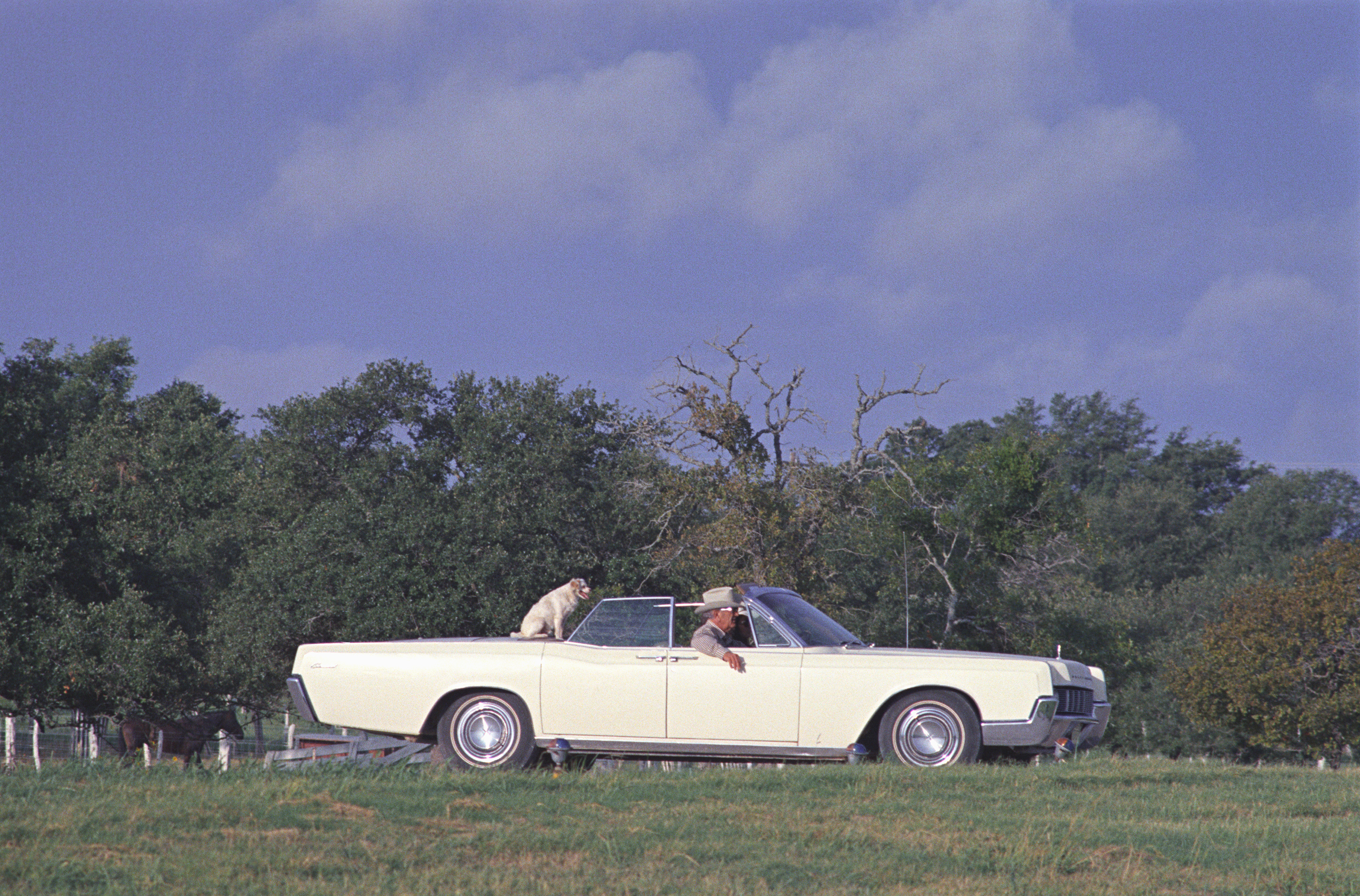 LBJ riding in a Lincoln convertible with his dog, Yuki, sitting in the back.