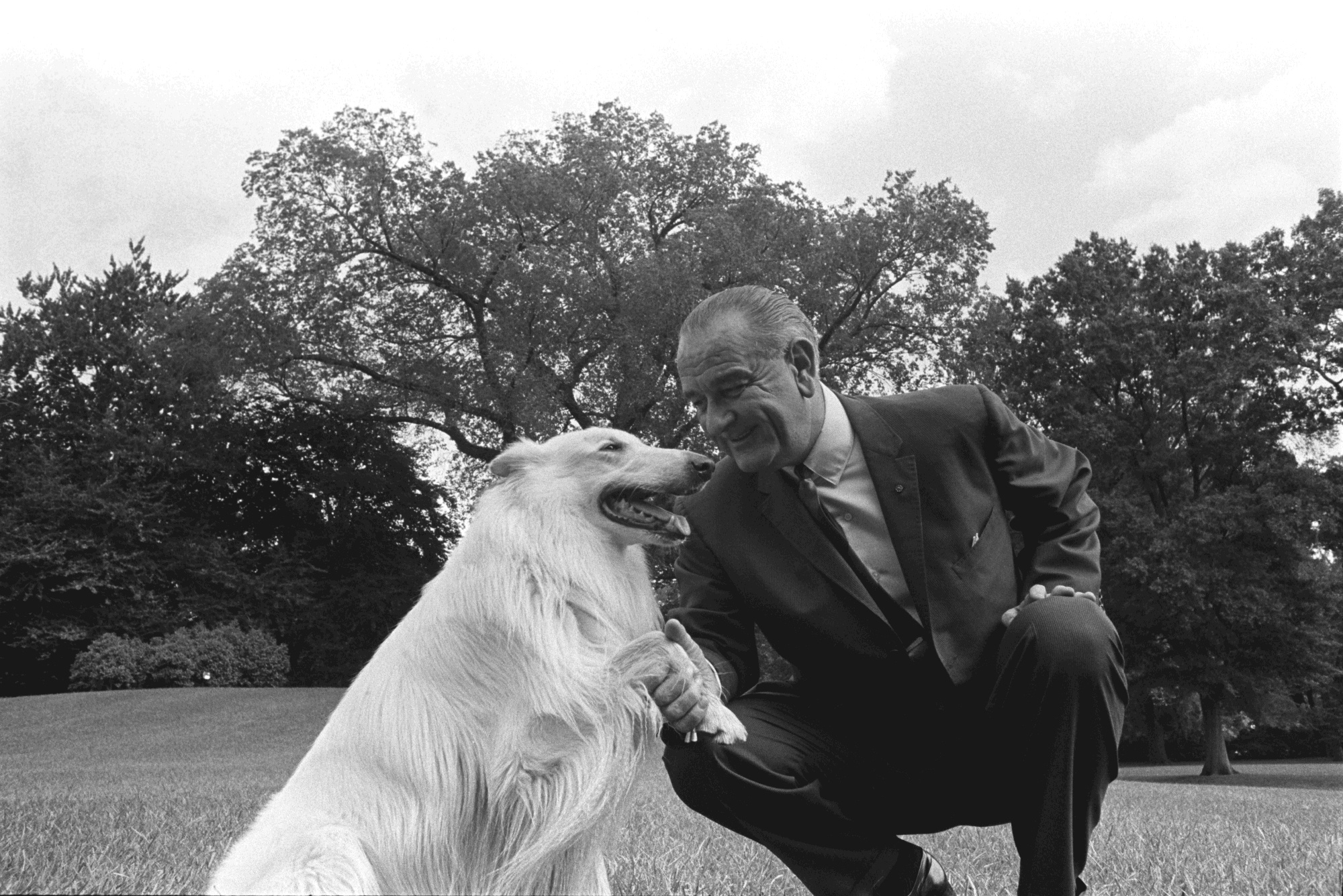 President Johnson, smiling, grasps Blanco's paw while he sits.
