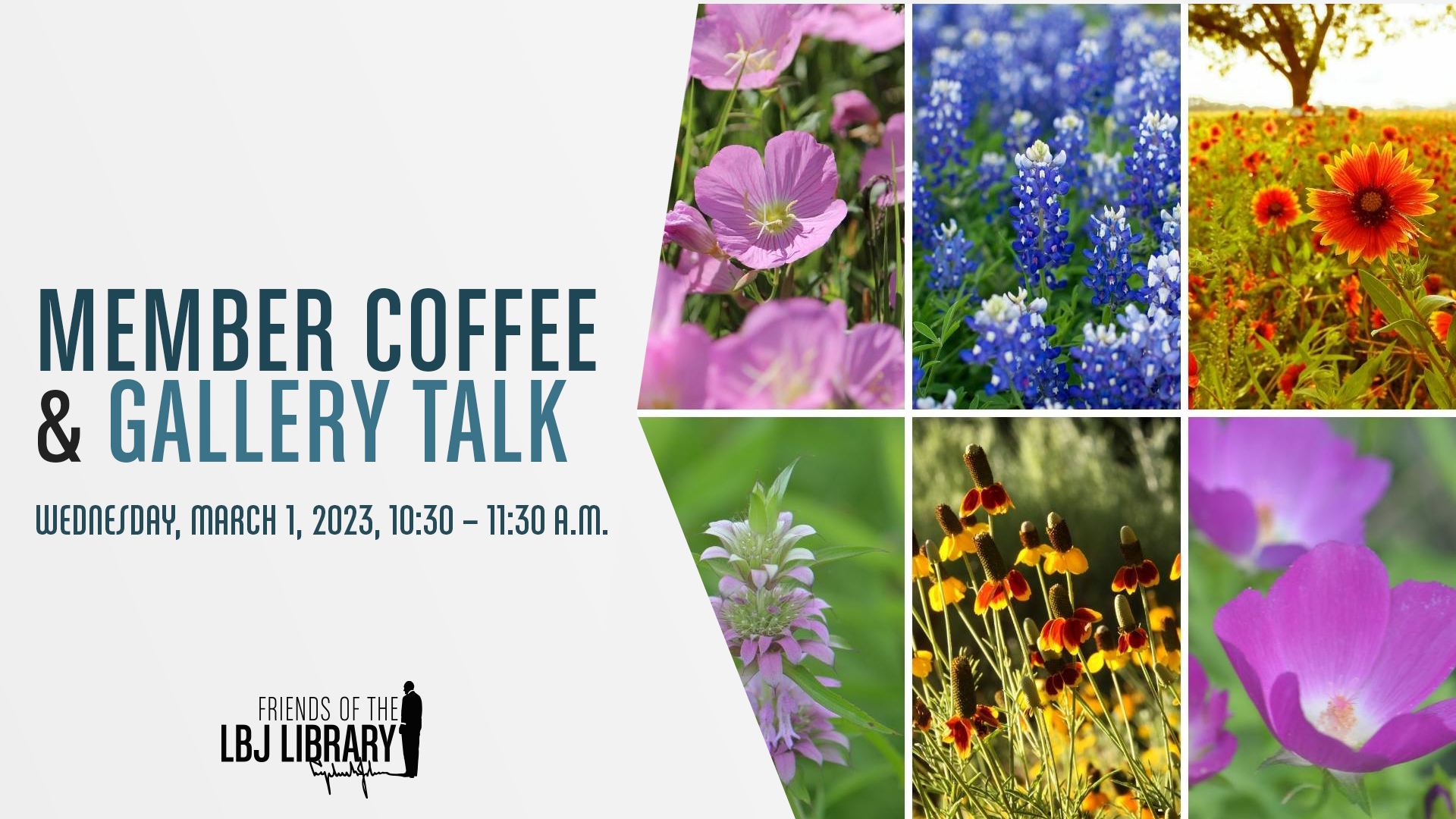 Member Coffee and Gallery Talk