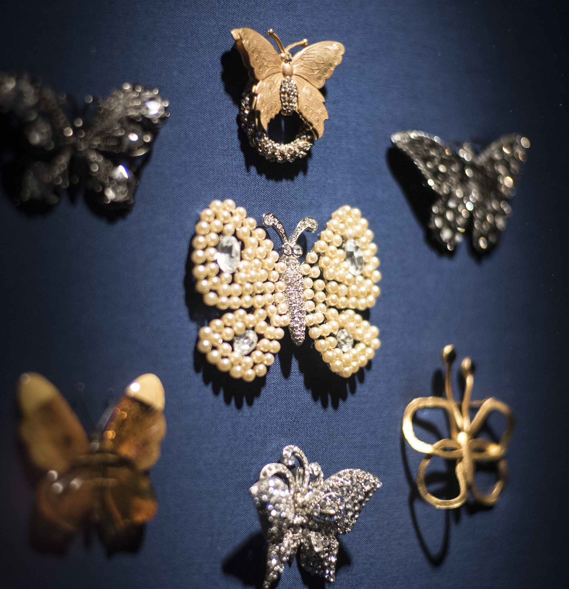 A close up of Butterfly pins in the Read My Pins exhibition at the LBJ Library.
