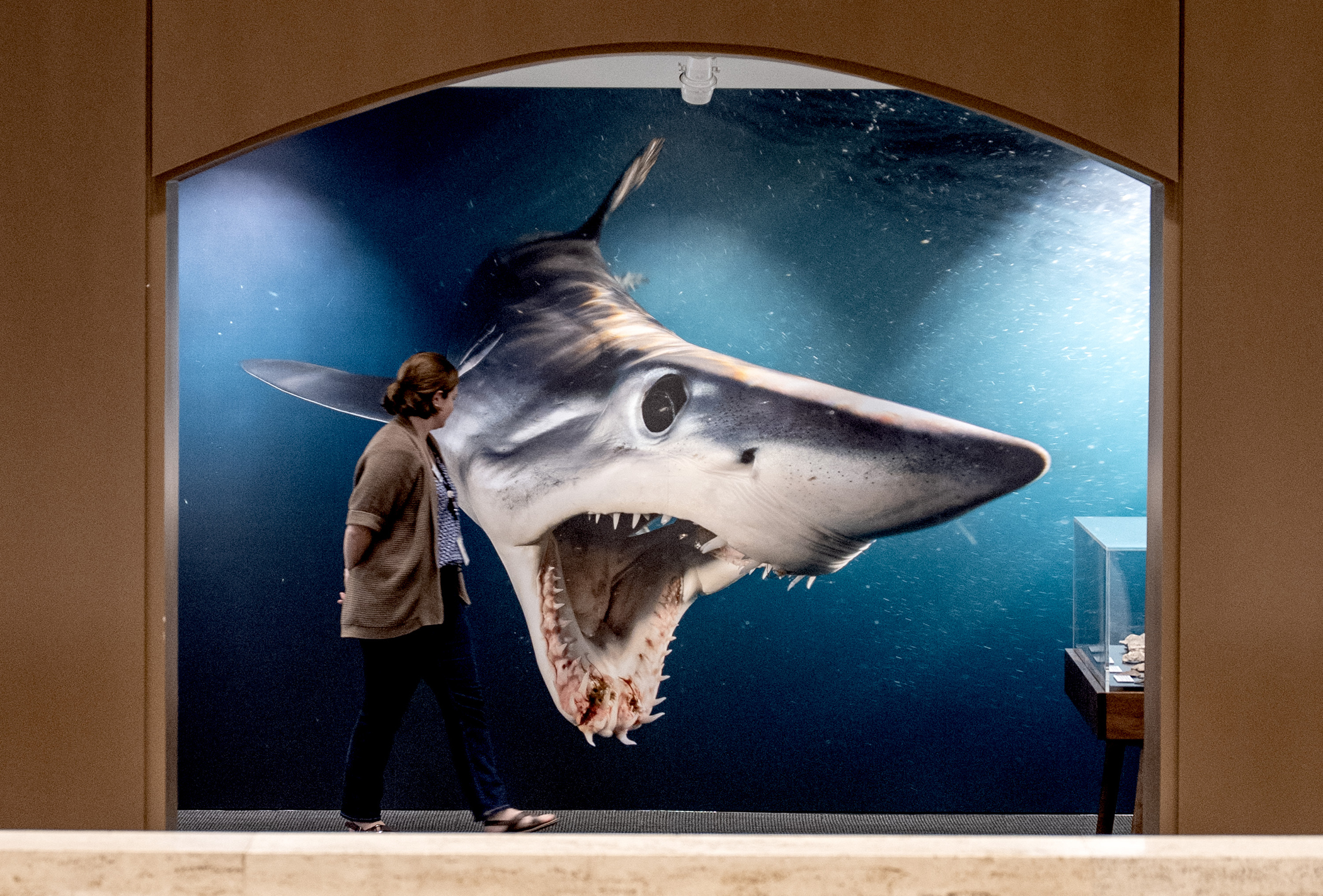 Photo Credit: by Brian Skerry