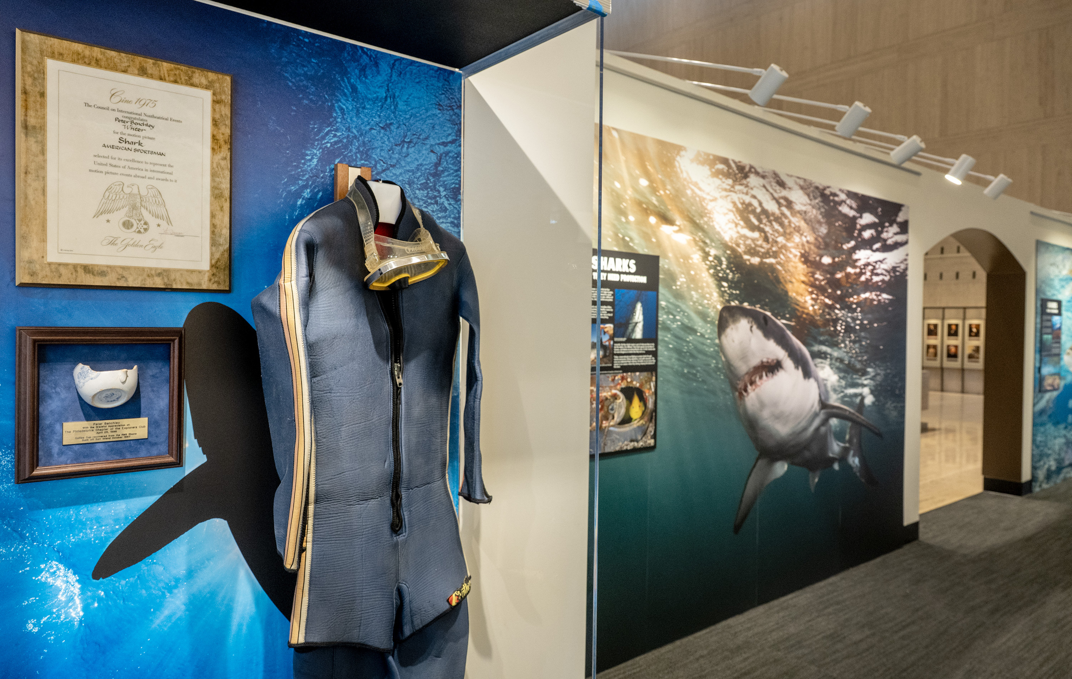 On Loan from Benchley Archives. Photo Credit: by Brian Skerry