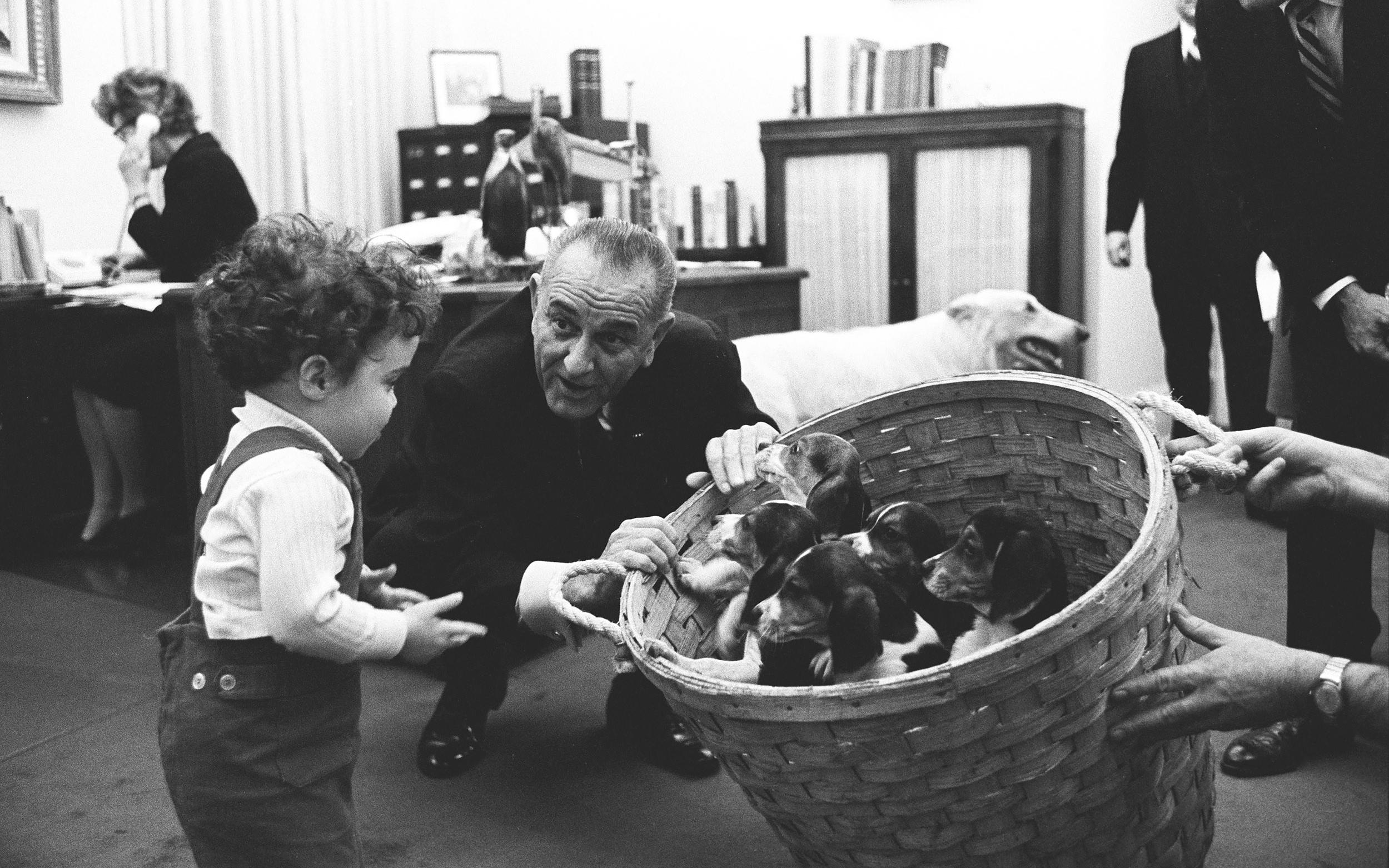 President Johnson shows a basket of Beagle puppies to special assistant Jack Valenti's daughter, Courtenay.